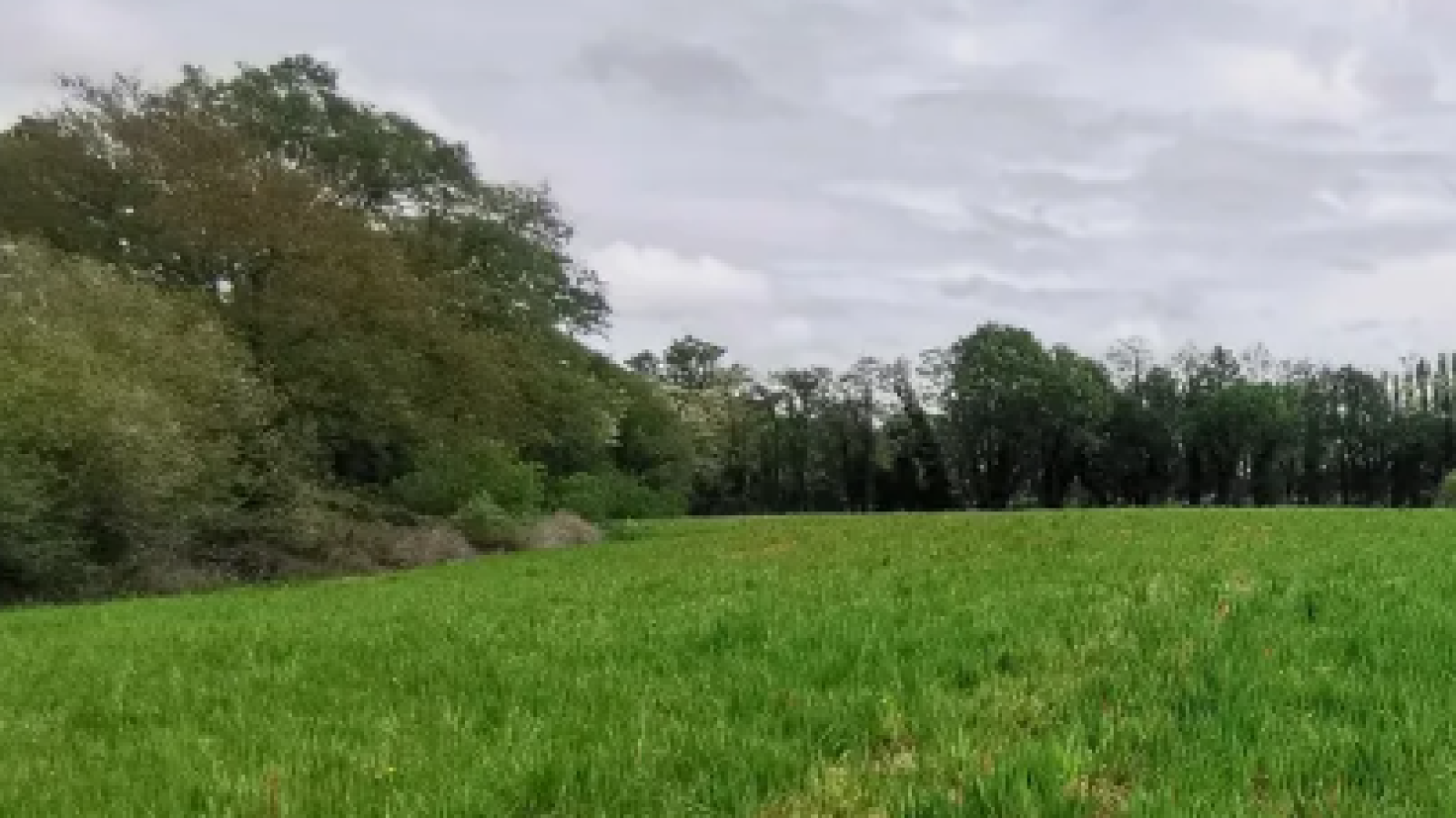 Terrain constructible de 611m2 à Hinx