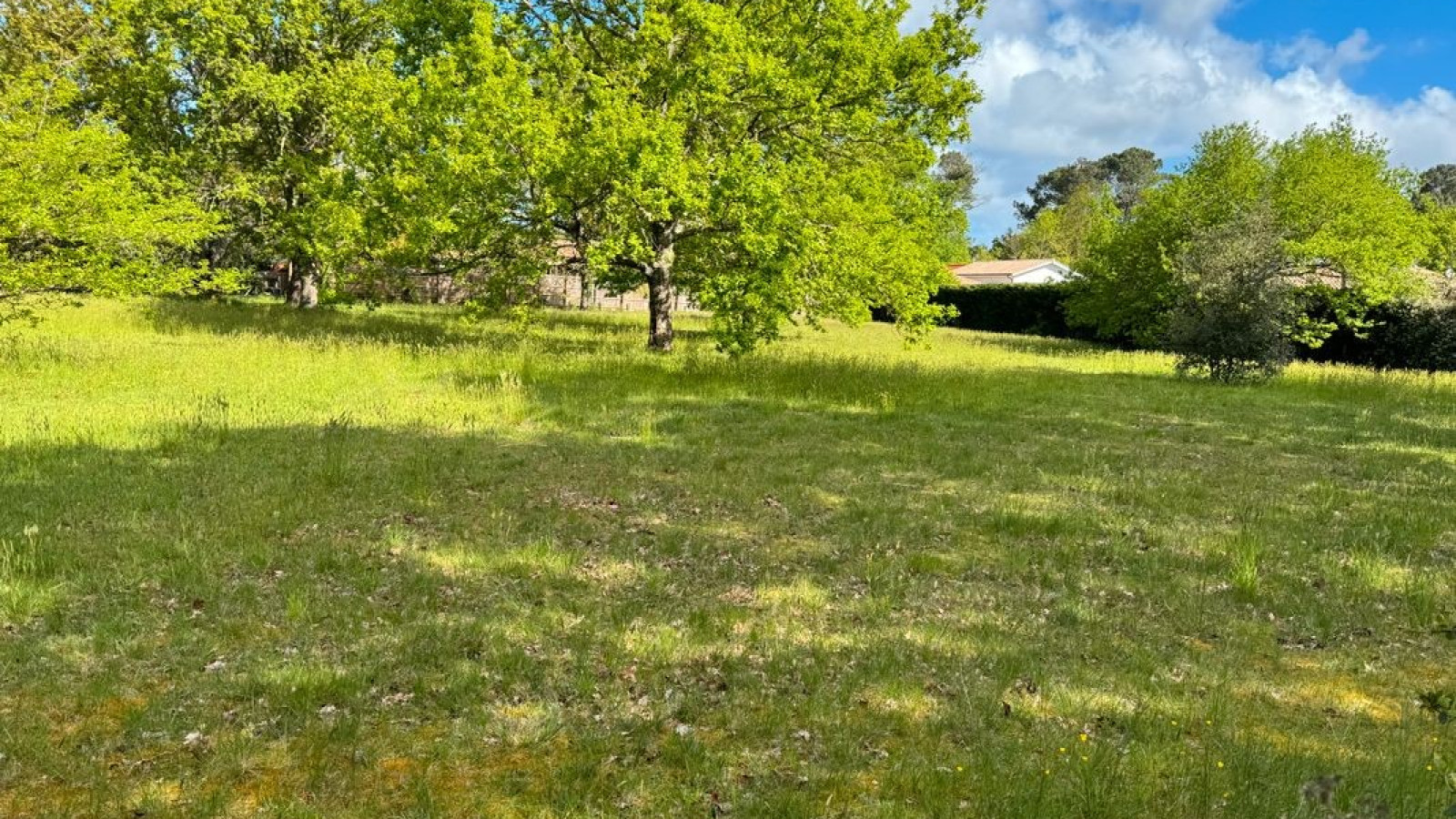 Terrain constructible de 3800m2 à Porchères
