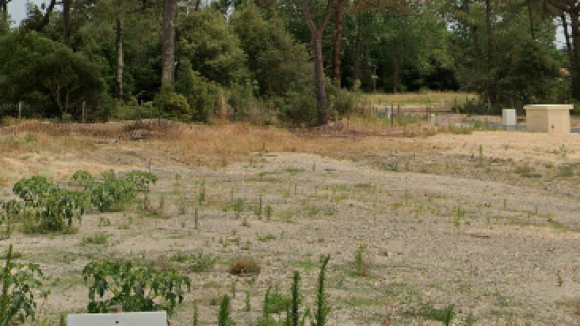 terrain 2.png