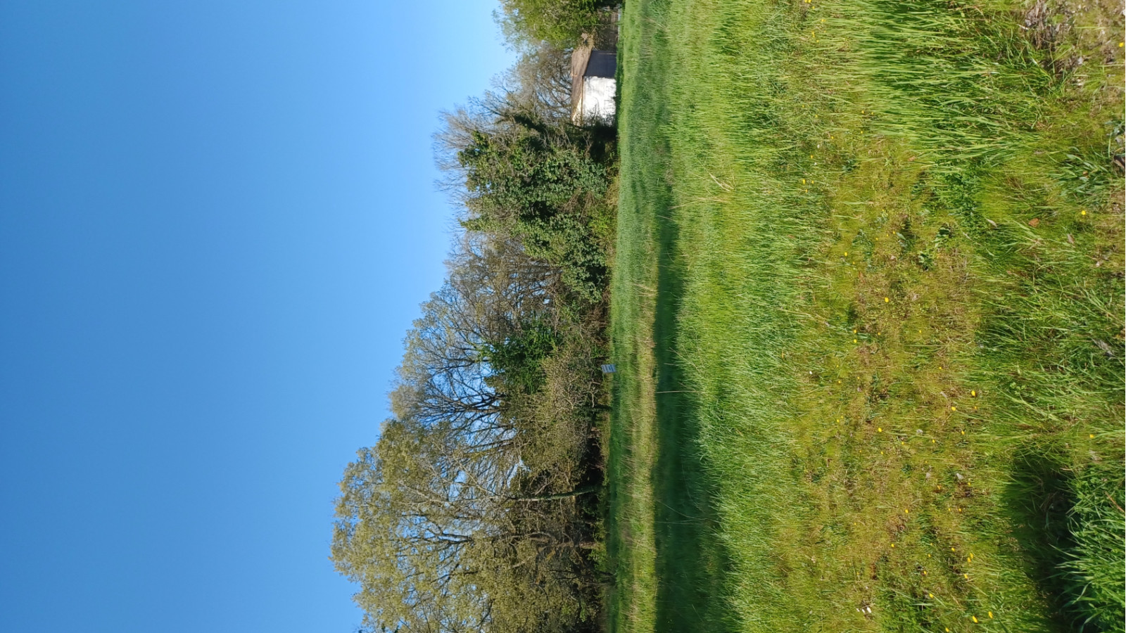 Terrain constructible de 800m2 à Bonnetan