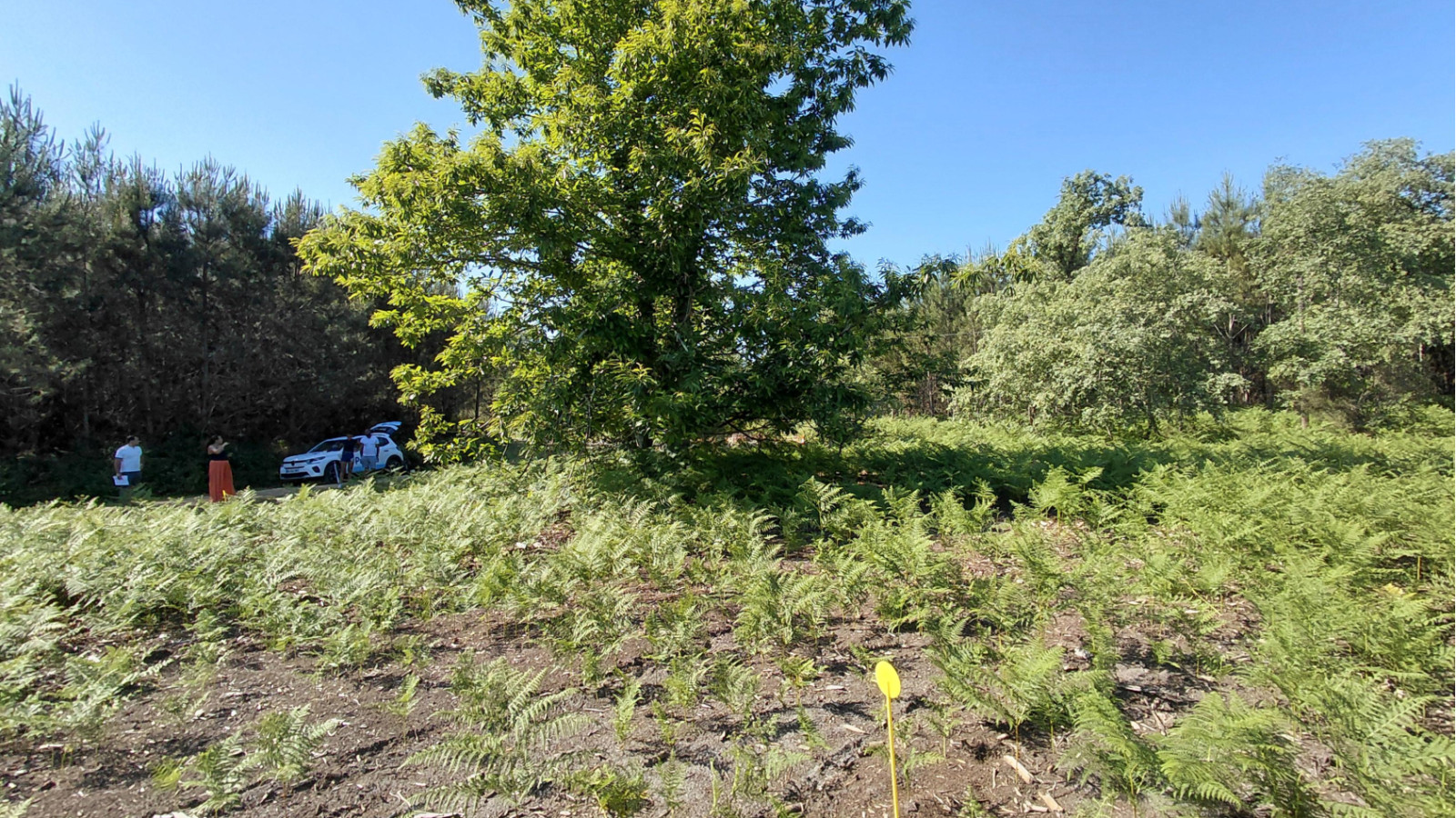 Terrain constructible de 400m2 à Saint-Avit
