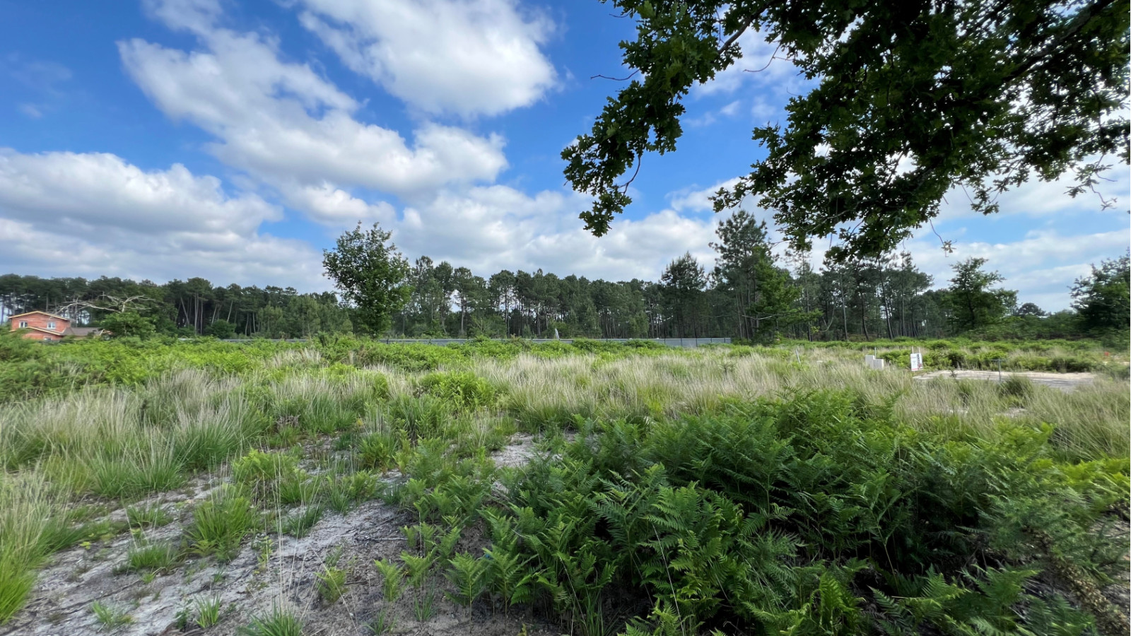Terrain constructible de 622m2 à Le Barp
