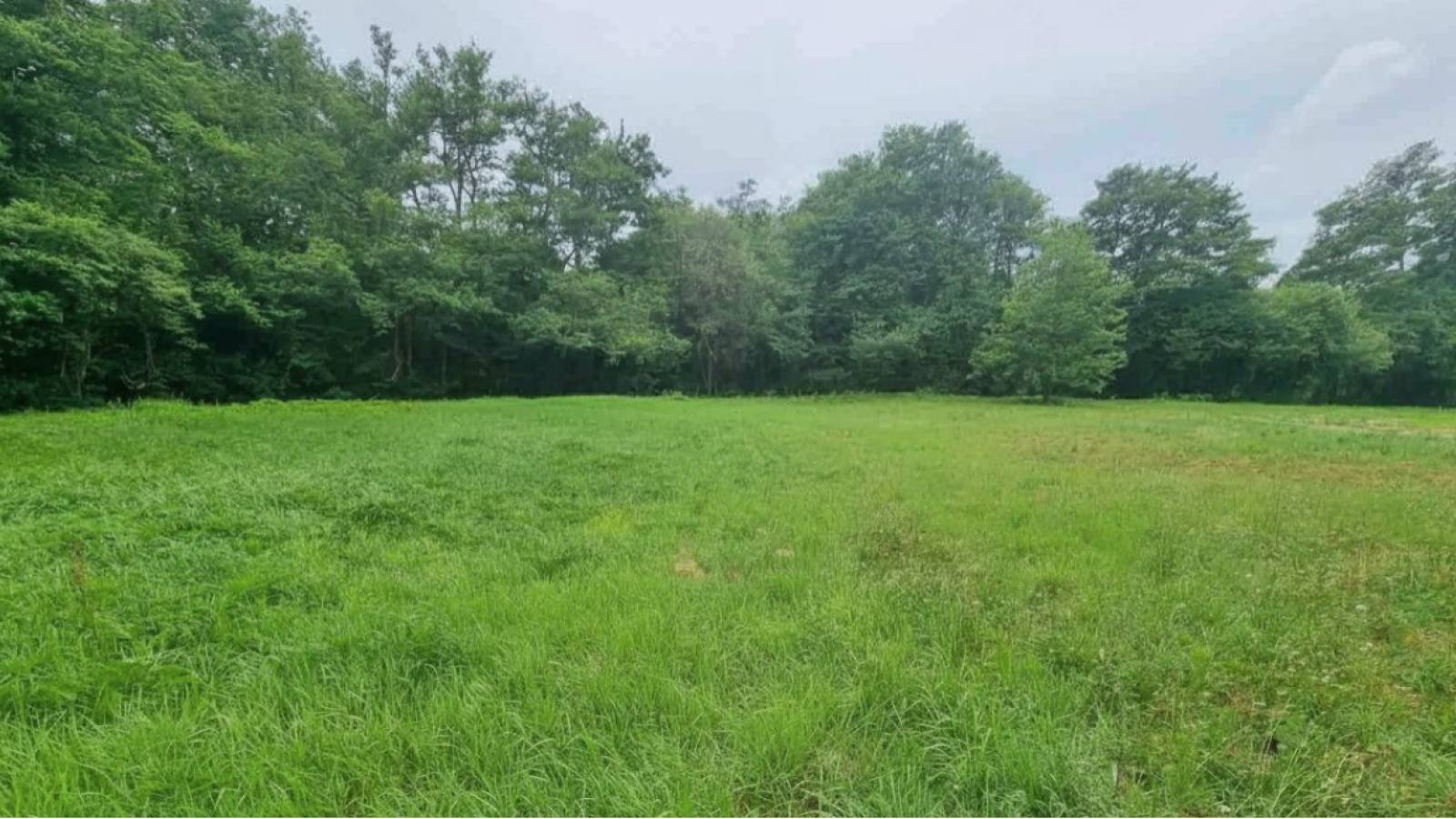 Terrain constructible de 540m2 à Castres-Gironde