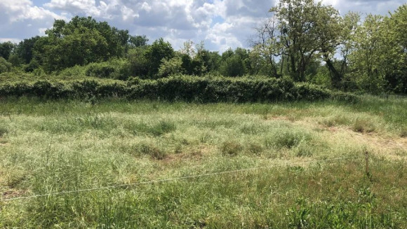 Cadaujac 2.jpg
