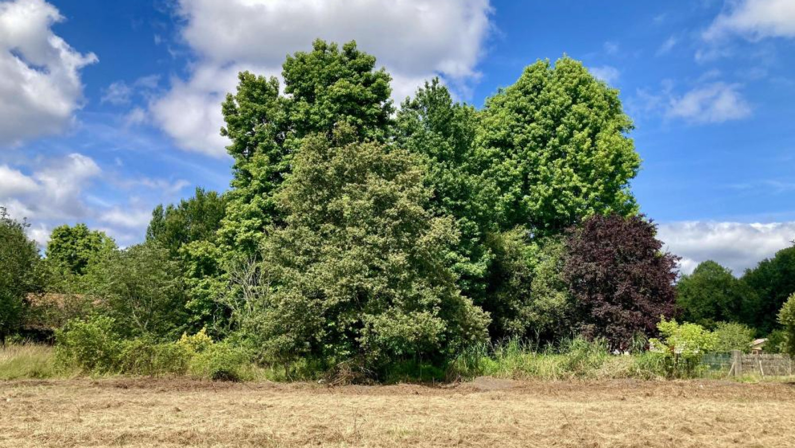 Terrain constructible de 490m2 à Brach