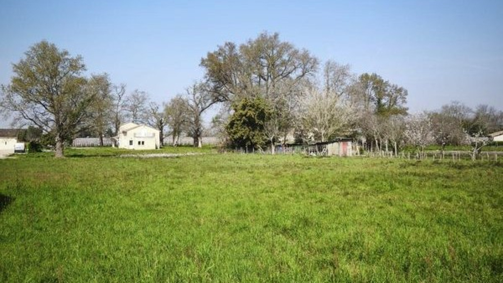 Terrain constructible de 425m2 à Lalande-de-Pomerol