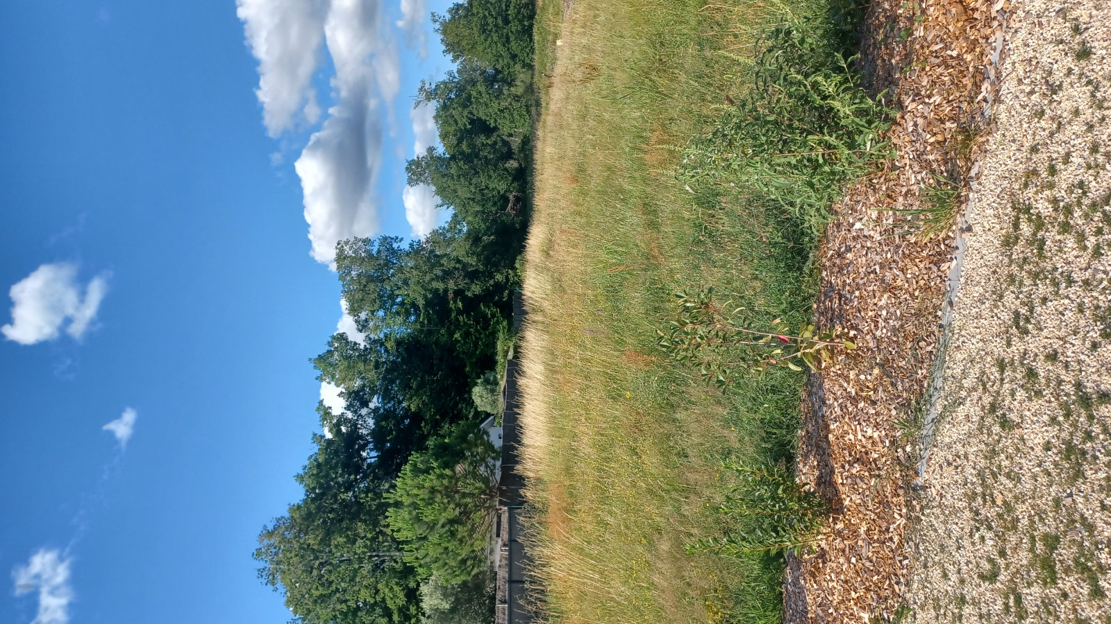 Terrain constructible de 582m2 à Léognan