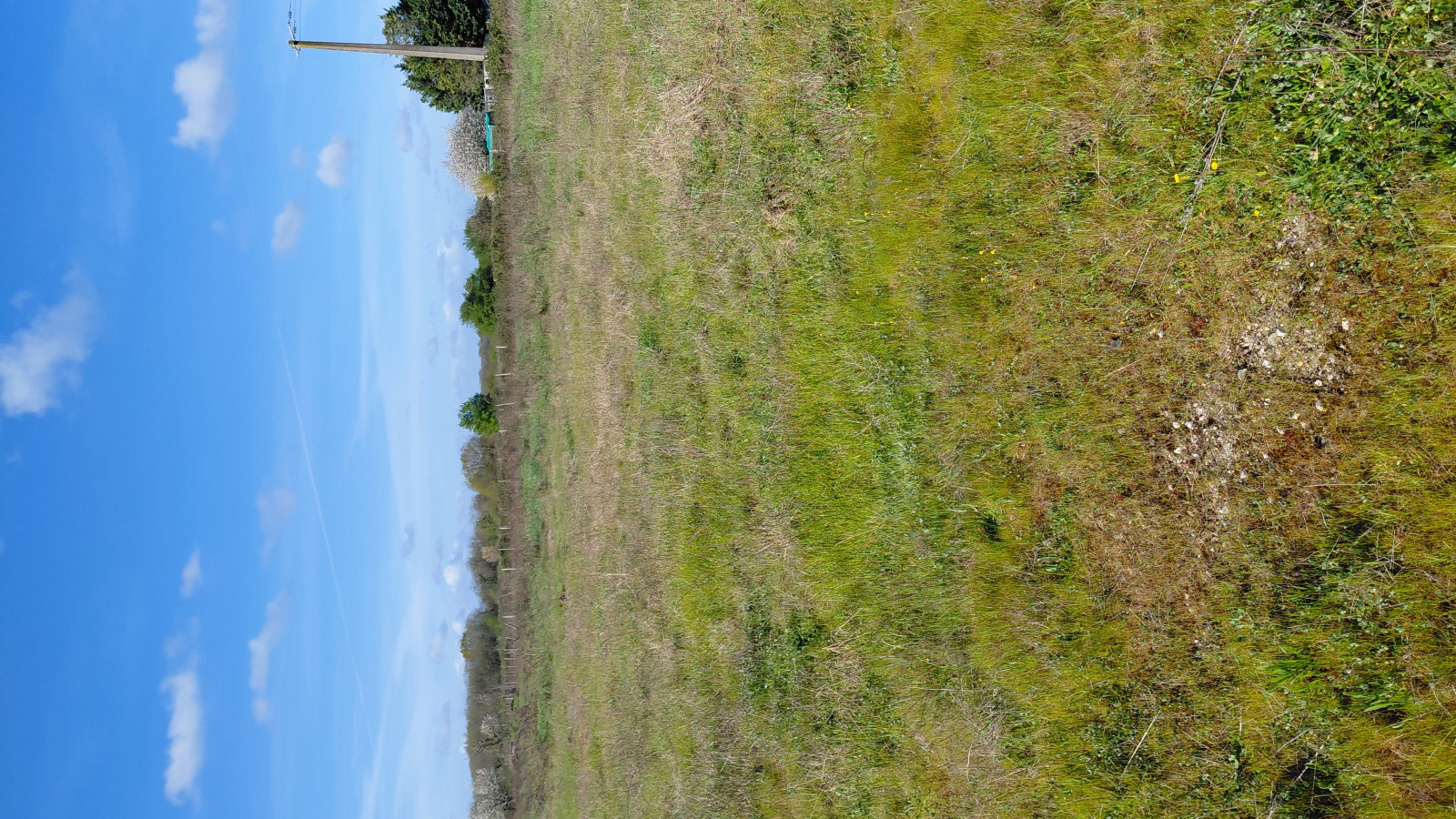 Terrain constructible de 316m2 à Abzac