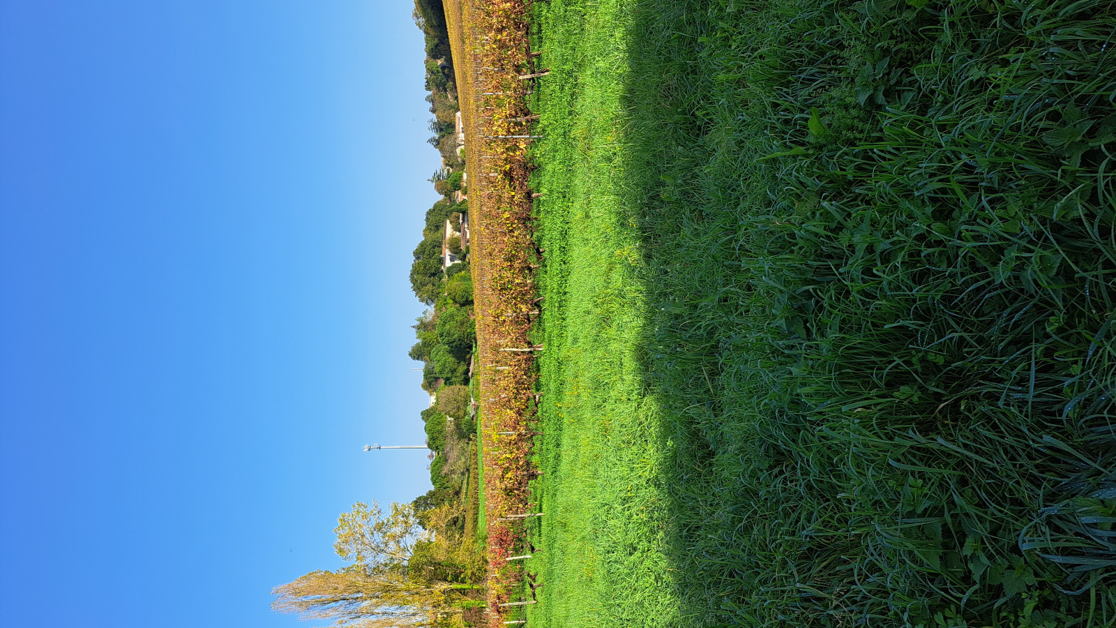 Terrain constructible de 503m2 à Le Taillan-Médoc