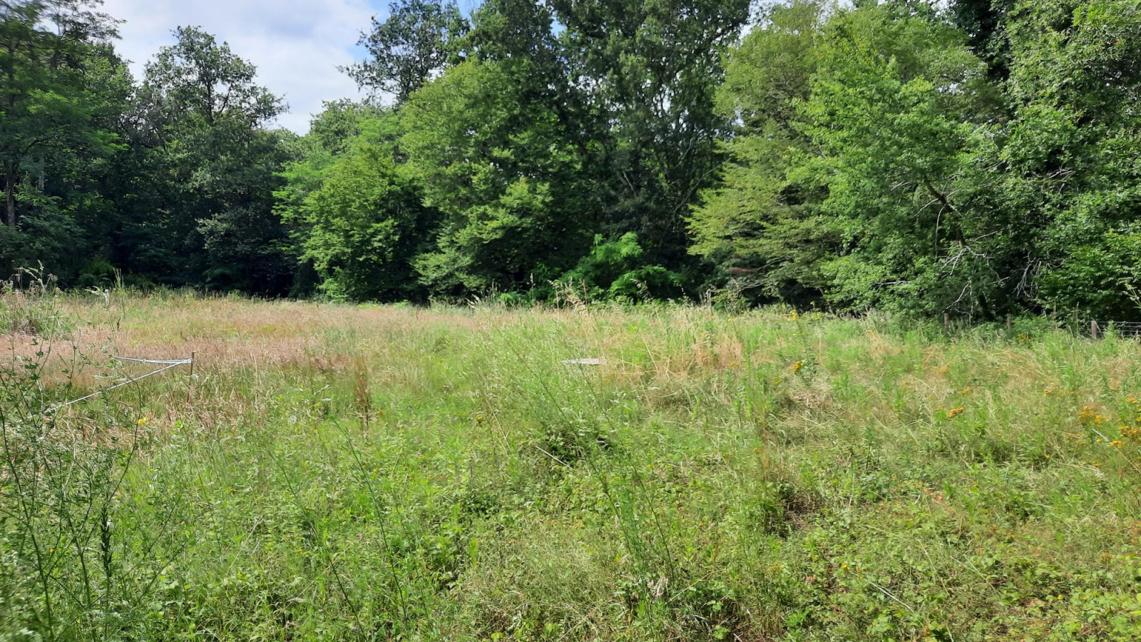 Terrain constructible de 910m2 à Le Taillan-Médoc