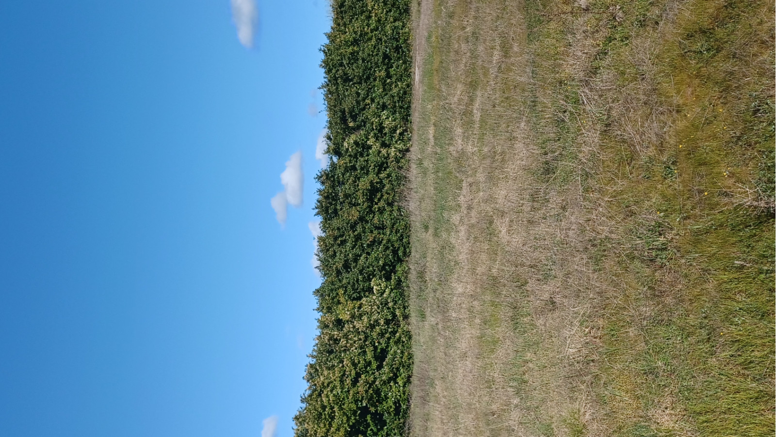 Terrain constructible de 1090m2 à Budos
