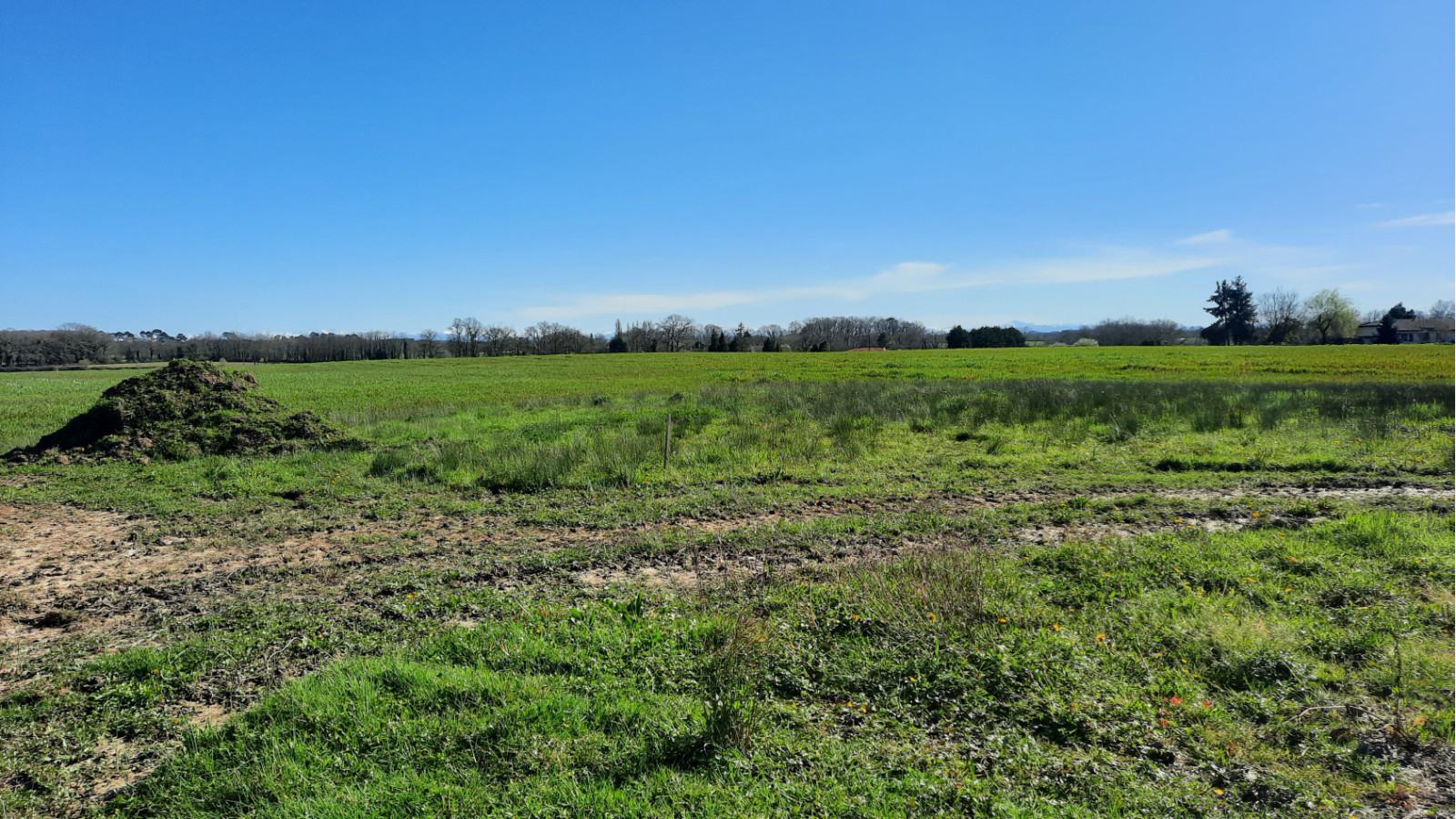 Terrain constructible de 420m2 à Narrosse