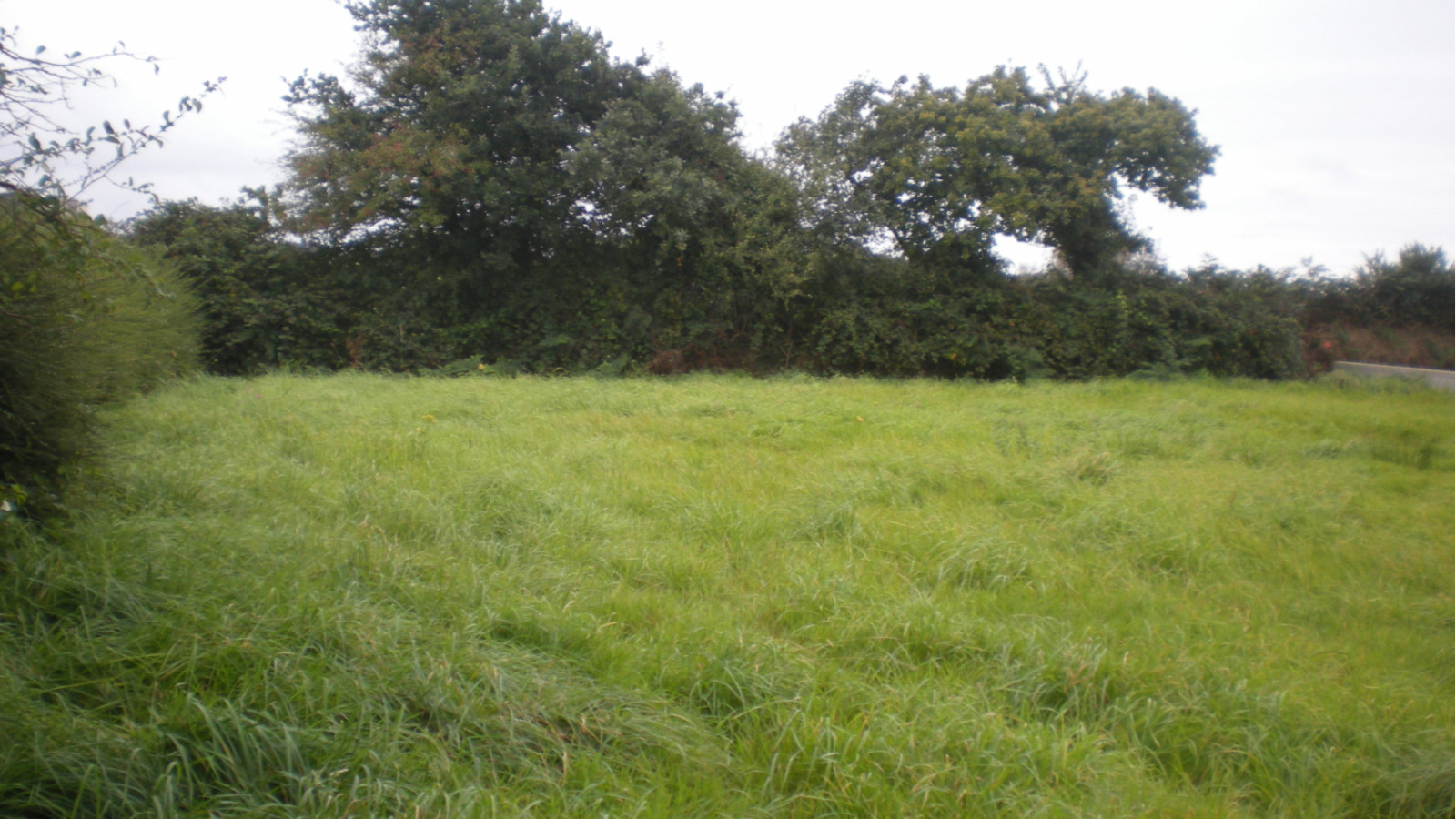 Terrain constructible de 700m2 à Tercis-les-Bains