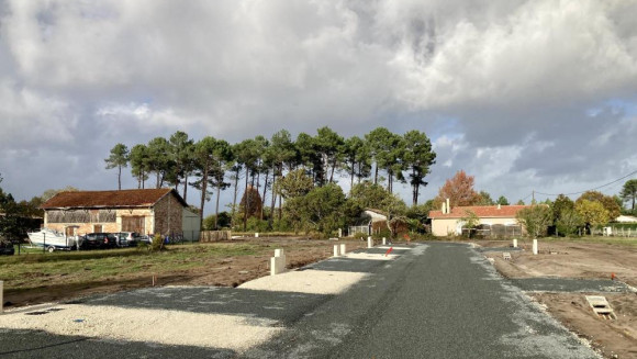 51.jpg
