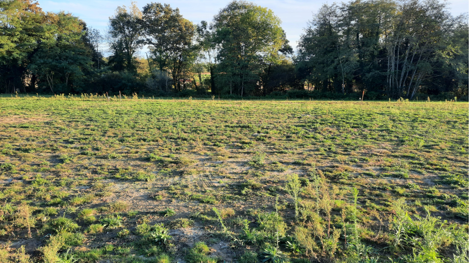 Terrain constructible de 900m2 à Goos
