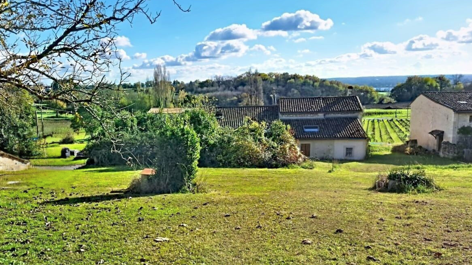 Terrain constructible de 800m2 à Vertheuil