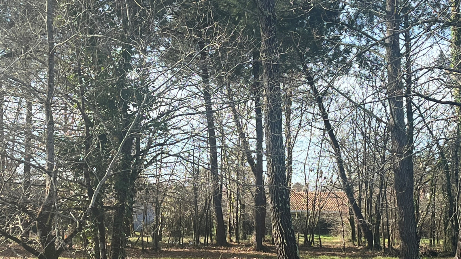 Terrain constructible de 800m2 à Gujan-Mestras