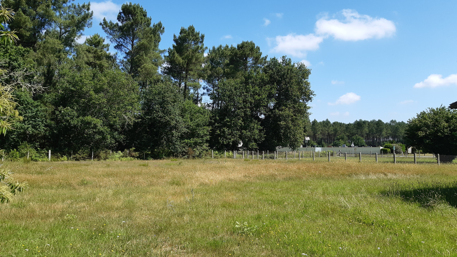 Terrain constructible de 1489m2 à La Brède
