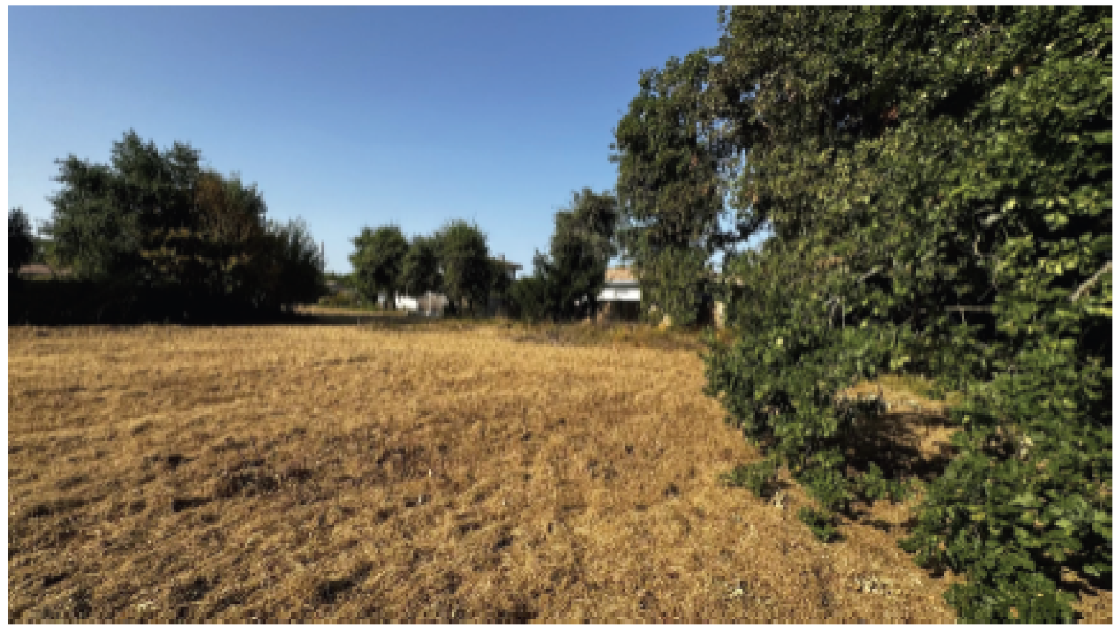 Terrain constructible de 822m2 à Biscarrosse