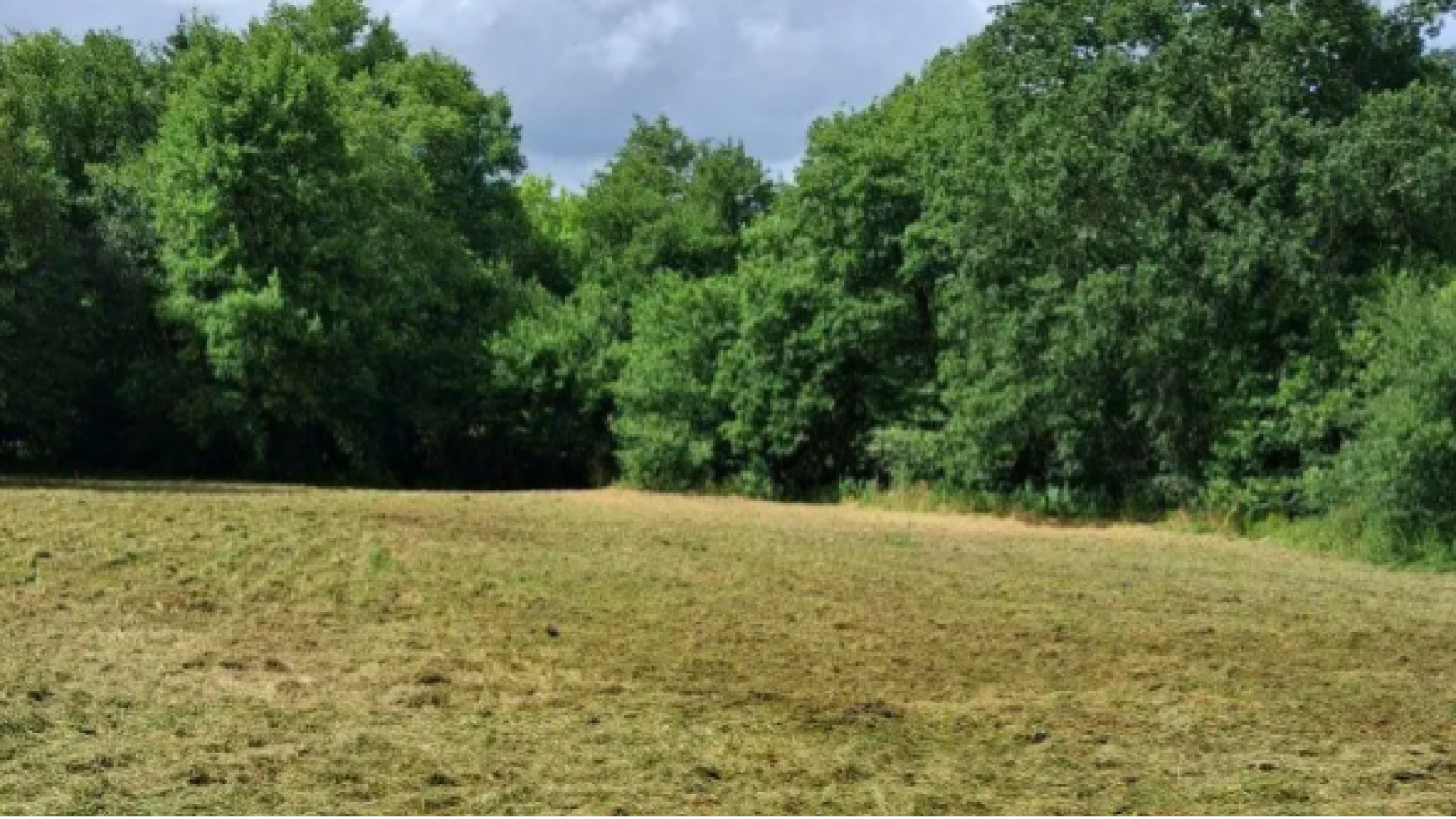 Terrain constructible de 1353m2 à Lignan-de-Bazas