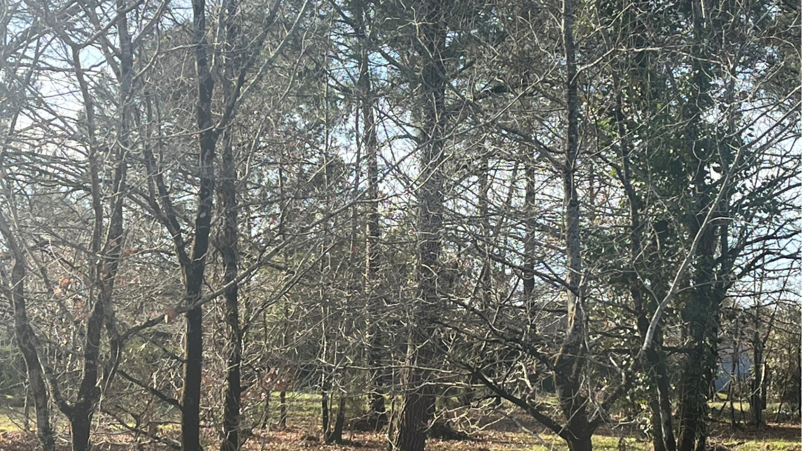 Terrain constructible de 612m2 à Audenge