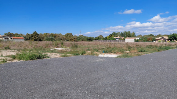 Le Teich.jpg