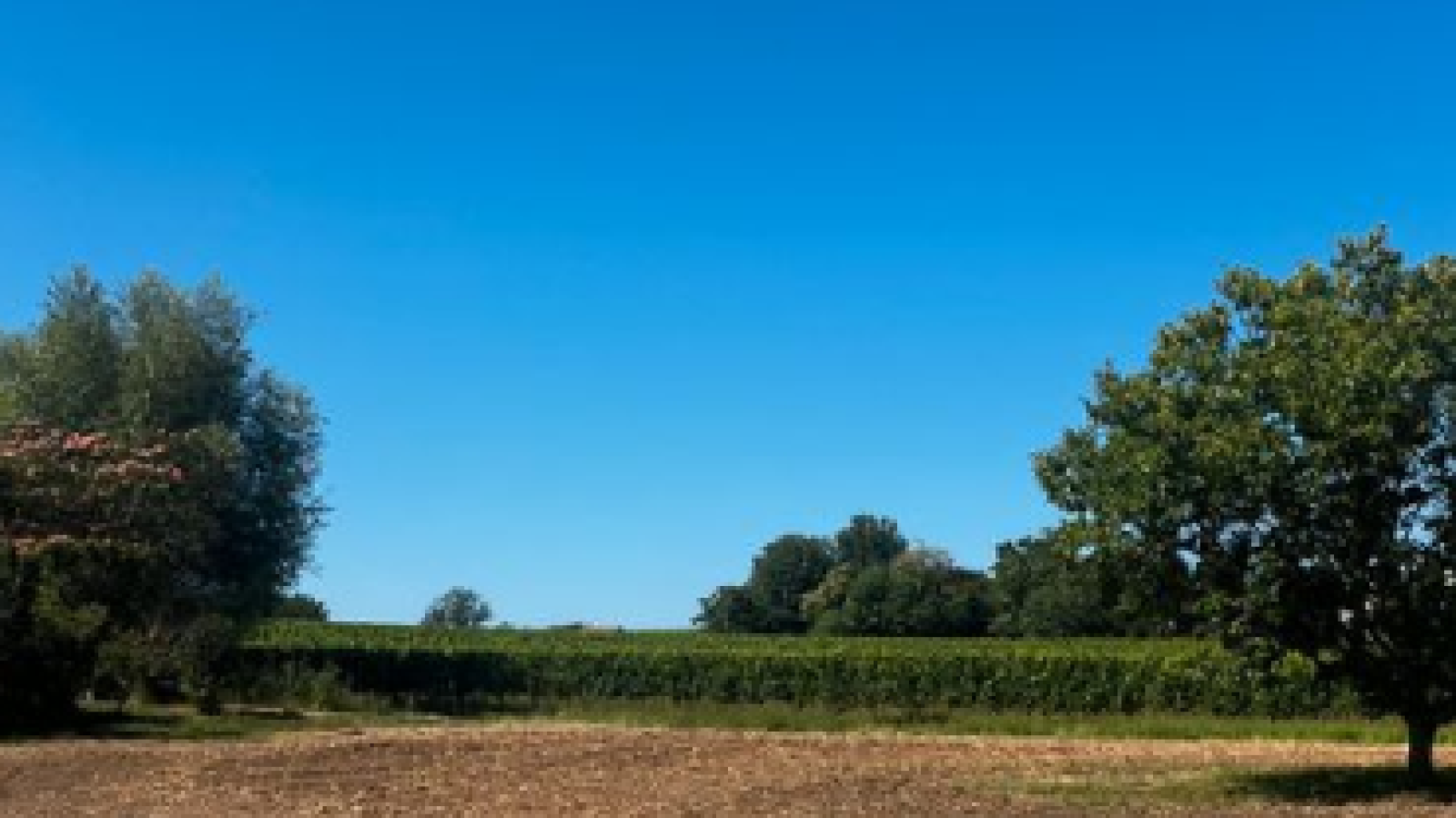 Terrain constructible de 753m2 à Saint-Ciers-d'Abzac