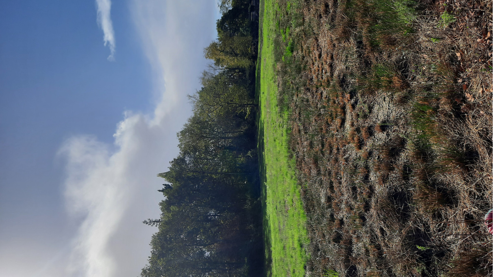 Terrain constructible de 999m2 à Saint-Aubin-de-Médoc