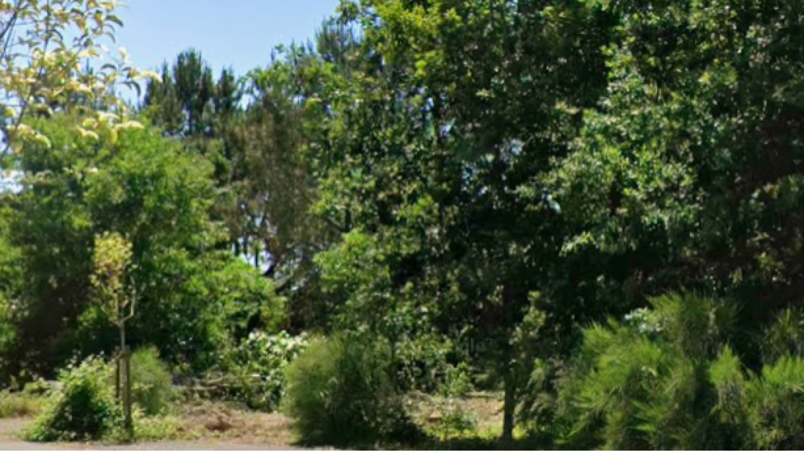 Terrain constructible de 794m2 à Vielle-Saint-Girons