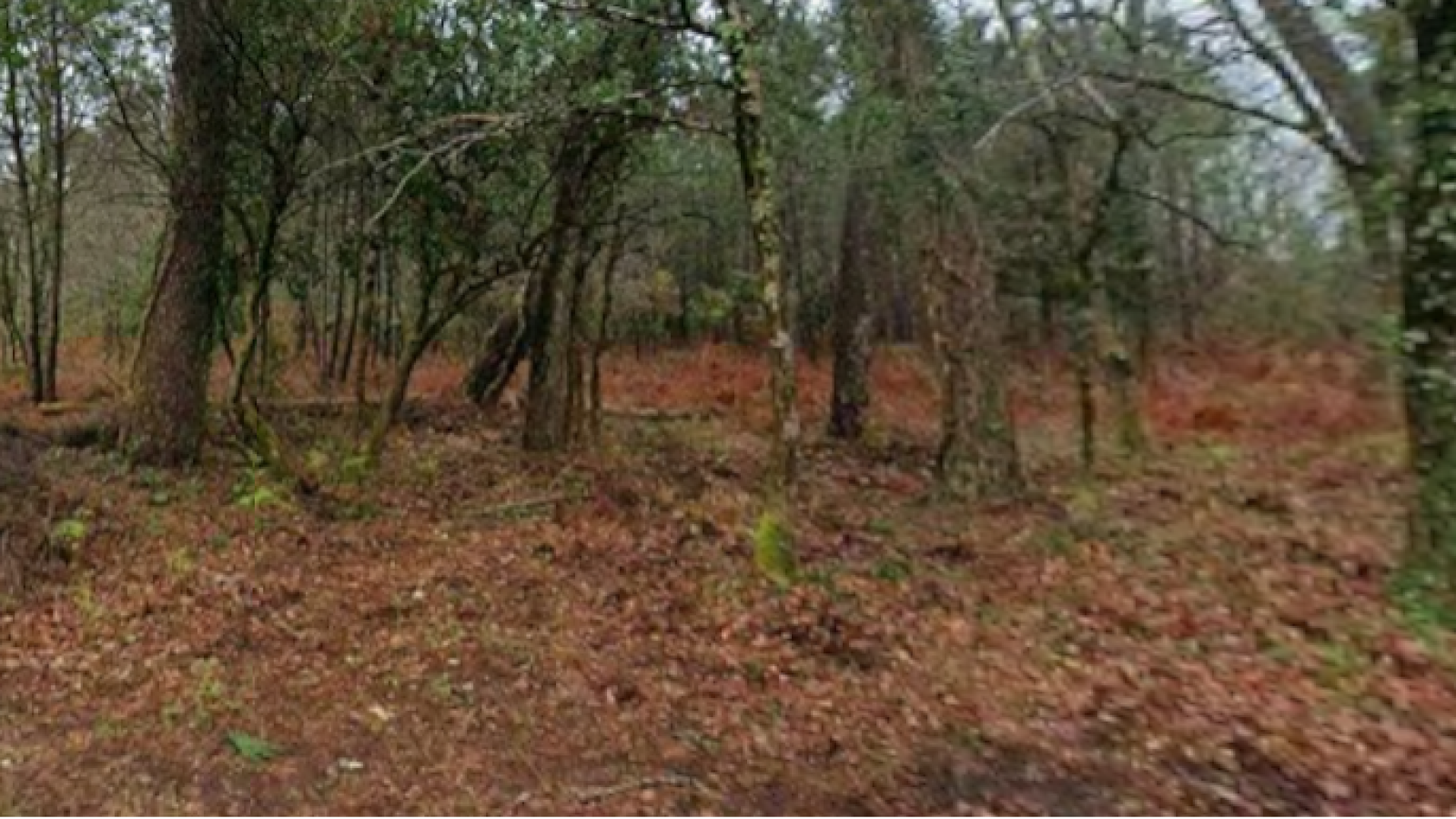 Terrain constructible de 1710m2 à Le Teich