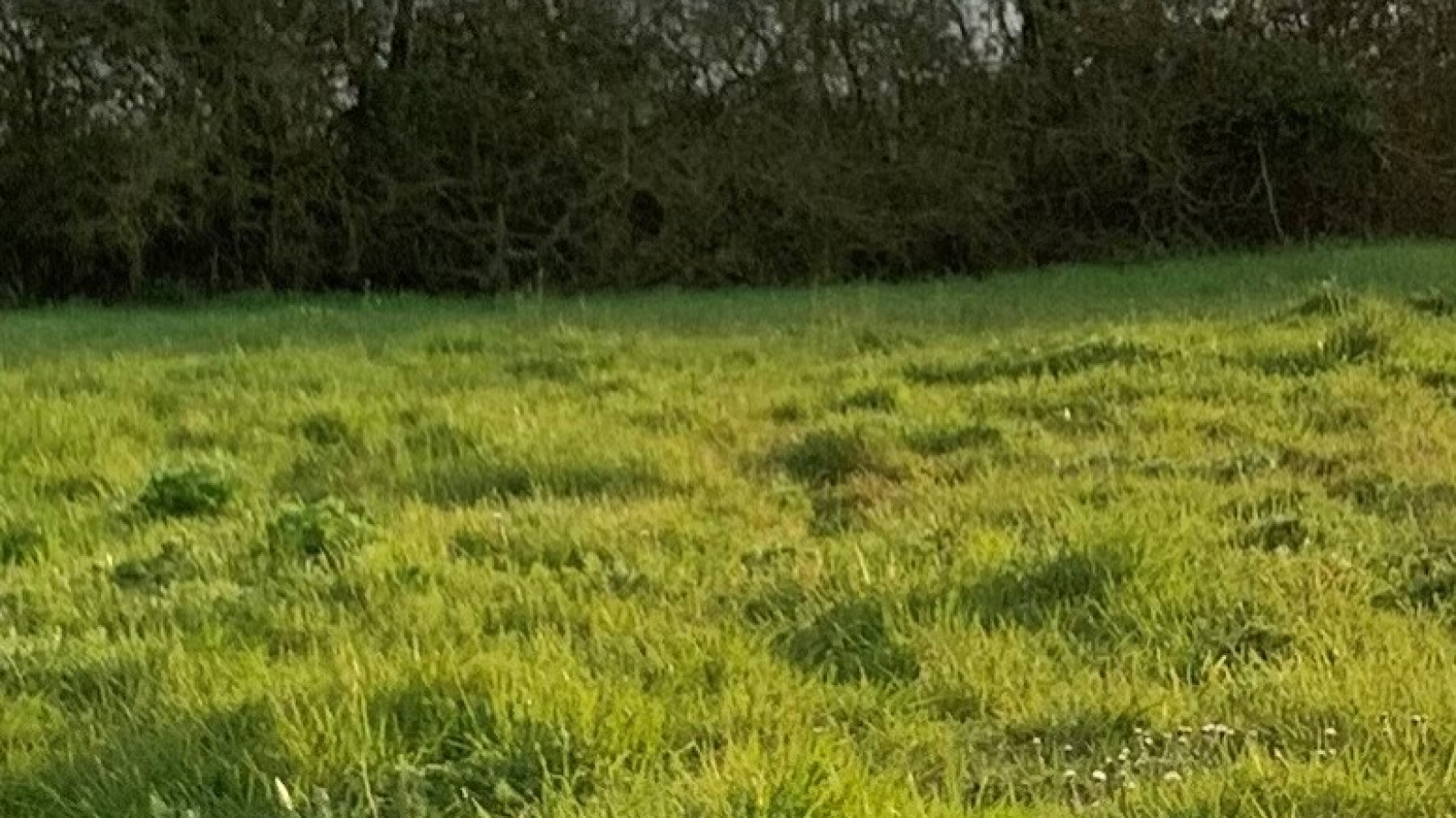 Terrain constructible de 754m2 à Saint-Denis-de-Pile