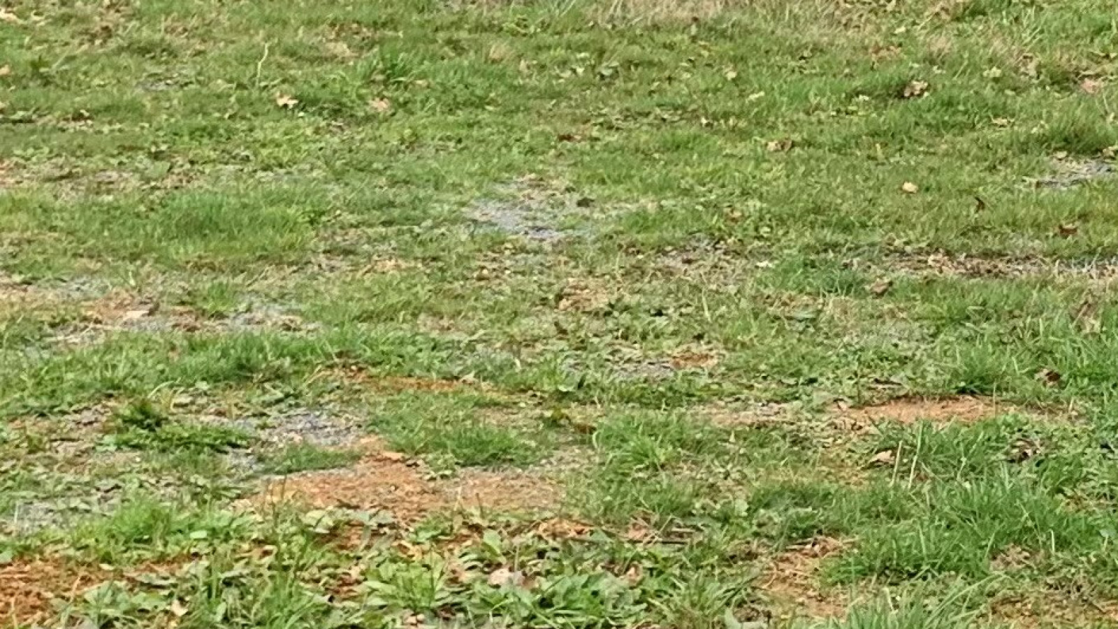 Terrain constructible de 653m2 à Le Pian-Médoc