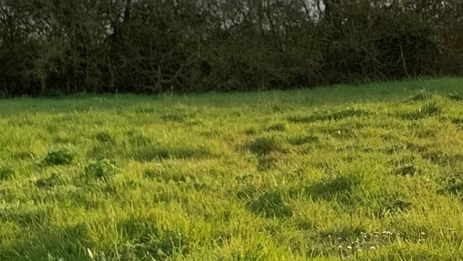 Terrain constructible de 561m2 à Galgon