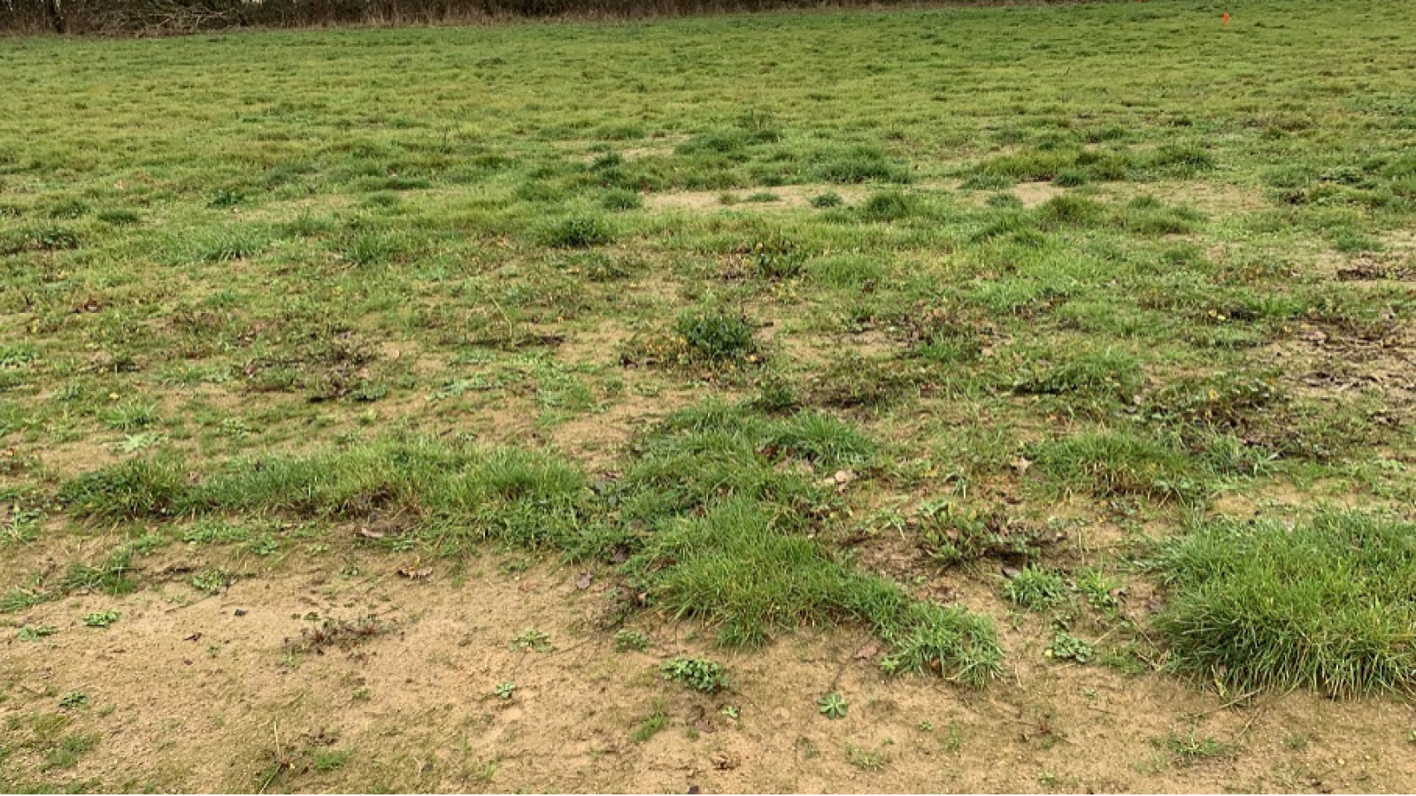 Terrain constructible de 514m2 à Soulignac